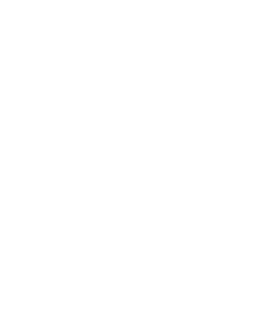 Tesla logo hvidt ikon + tekst