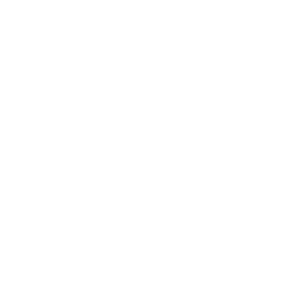 Tesla logo hvid ikon
